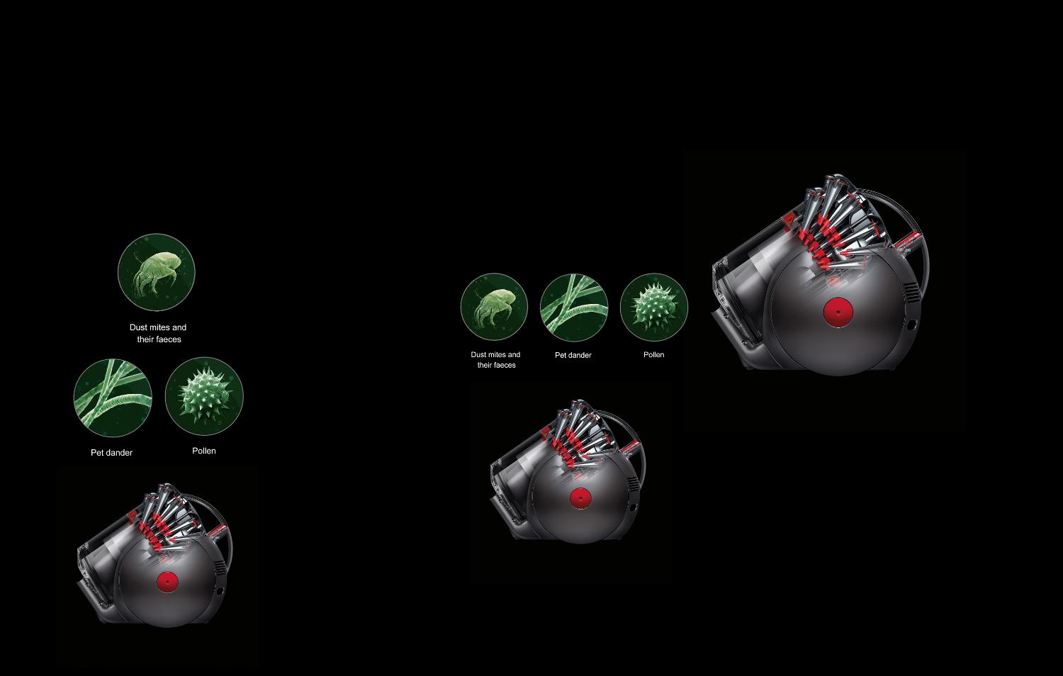 Dyson vacuum along with evidencnce of dust mites, pet dander and pollen.