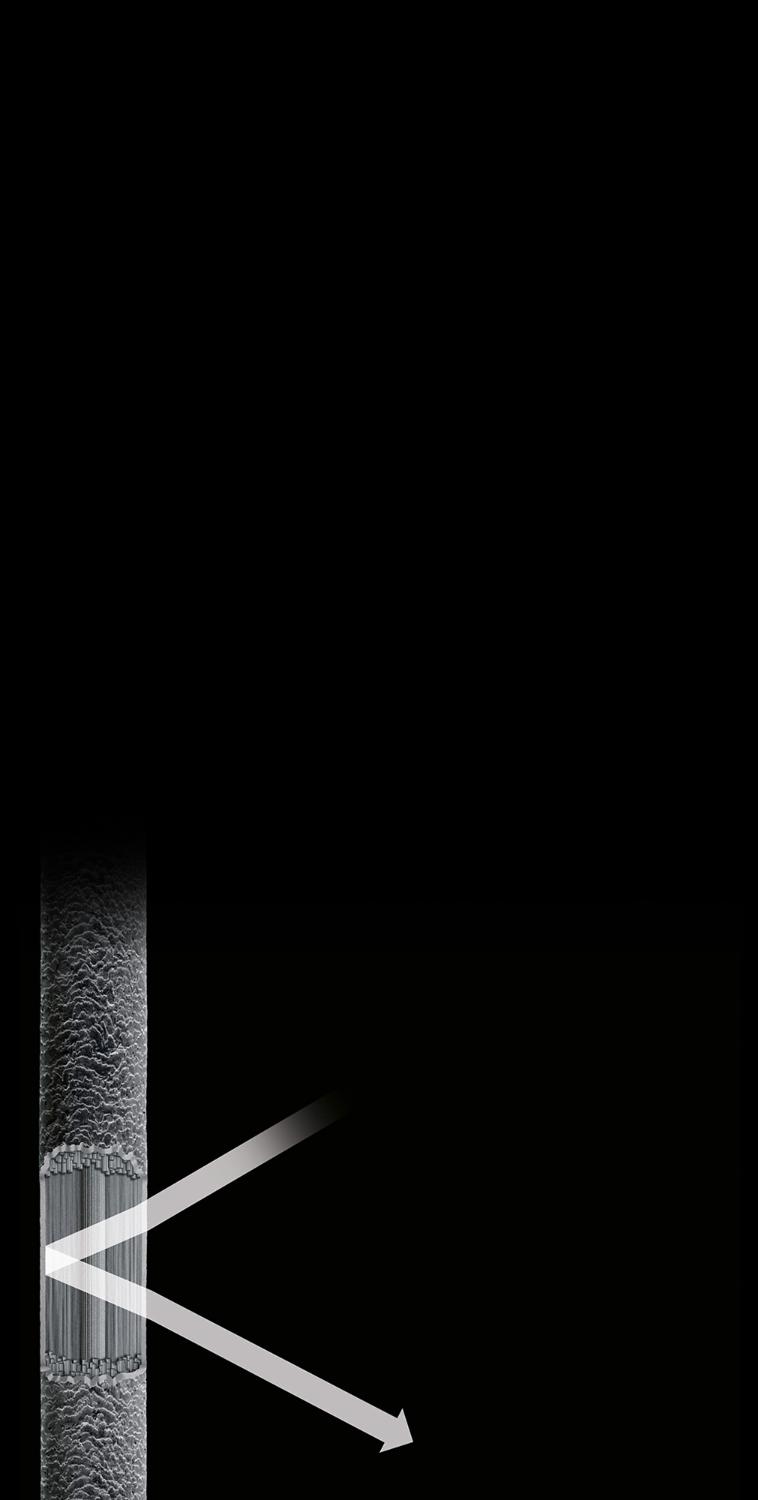 Schéma de la réfraction de la lumière sur les cheveux. Gros plan d’une mèche de cheveux sains reflétant la lumière