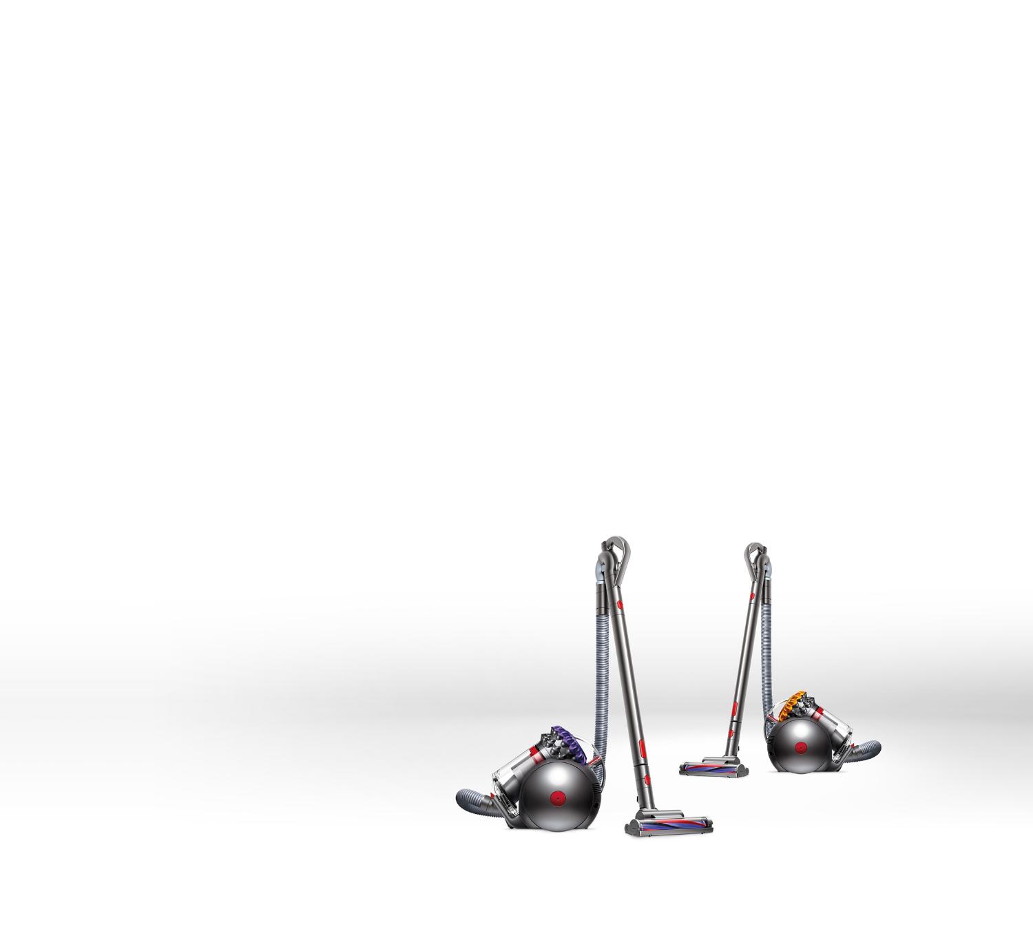 Aspirateurs Dyson Big BallMC