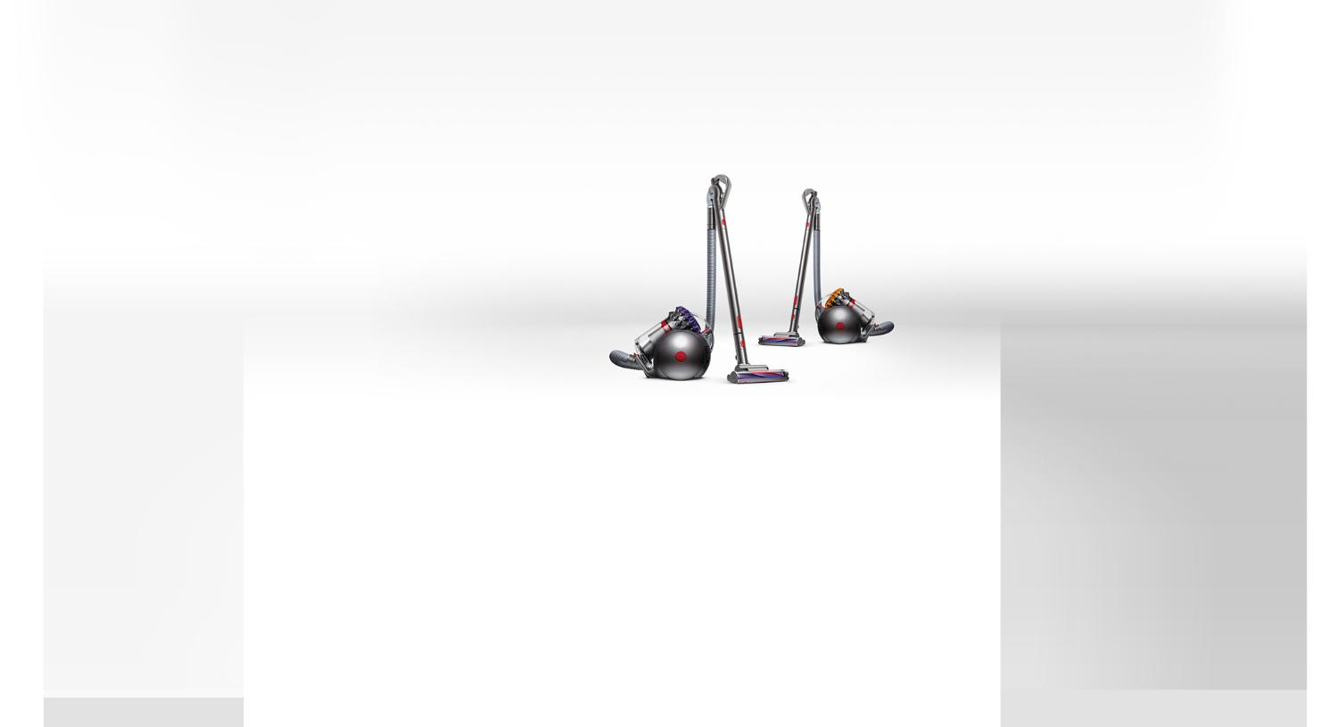 Aspirateur Dyson Big Ball🅪
