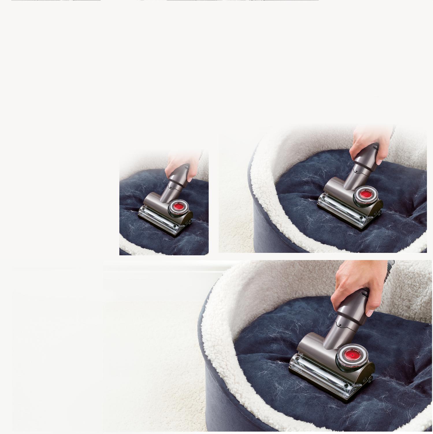 Utilisation d’un aspirateur Dyson Small Ball🅪 Animal dans un panier pour chien