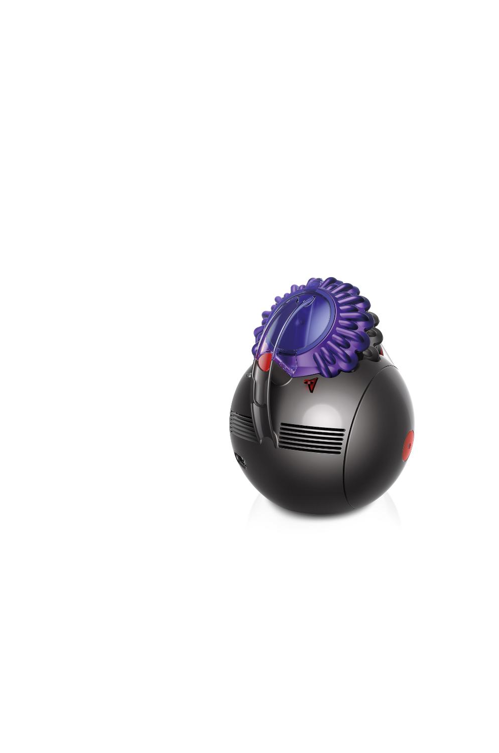 Dyson Big Ball™ vacuum from behind