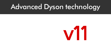 Dyson V11