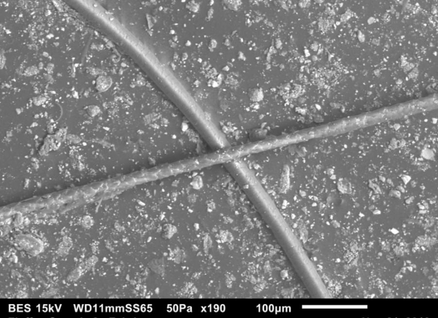 A close-up image of animal and human hair.