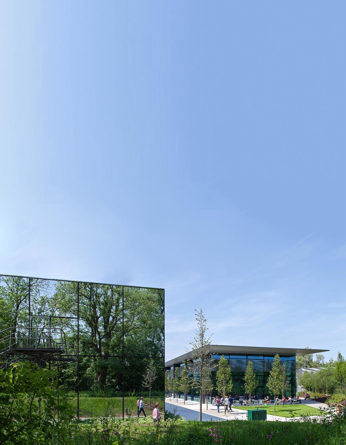 Dyson institute of engineering