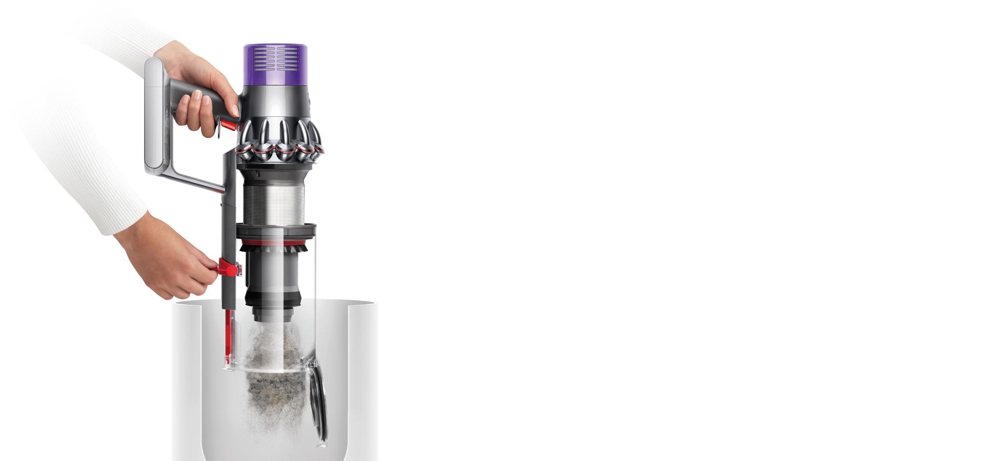 evcil hayvan sahipleri dyson v10