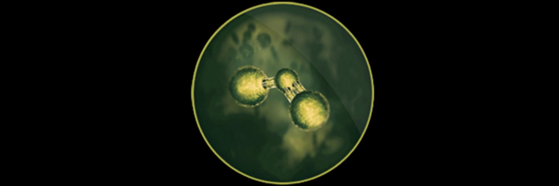 outdoor air pollution molecule