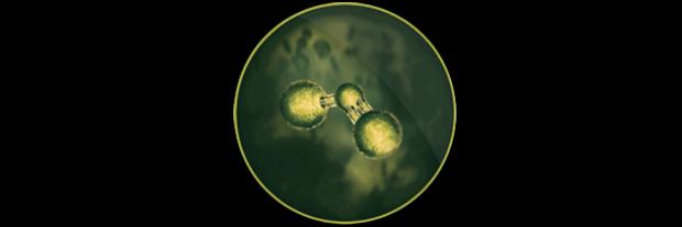 outdoor air pollution molecule