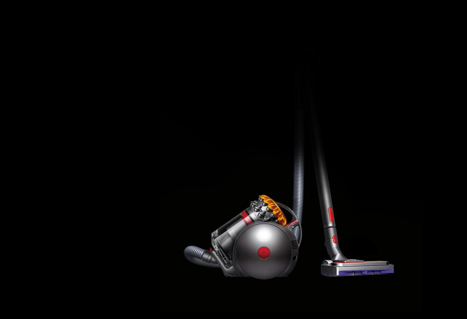 Dyson Big Ball™ vacuum