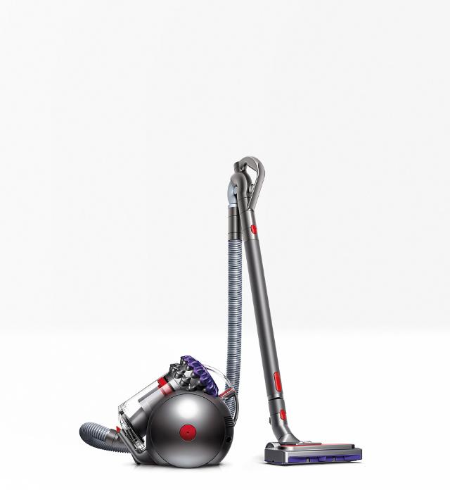 Dyson big ball animal 2