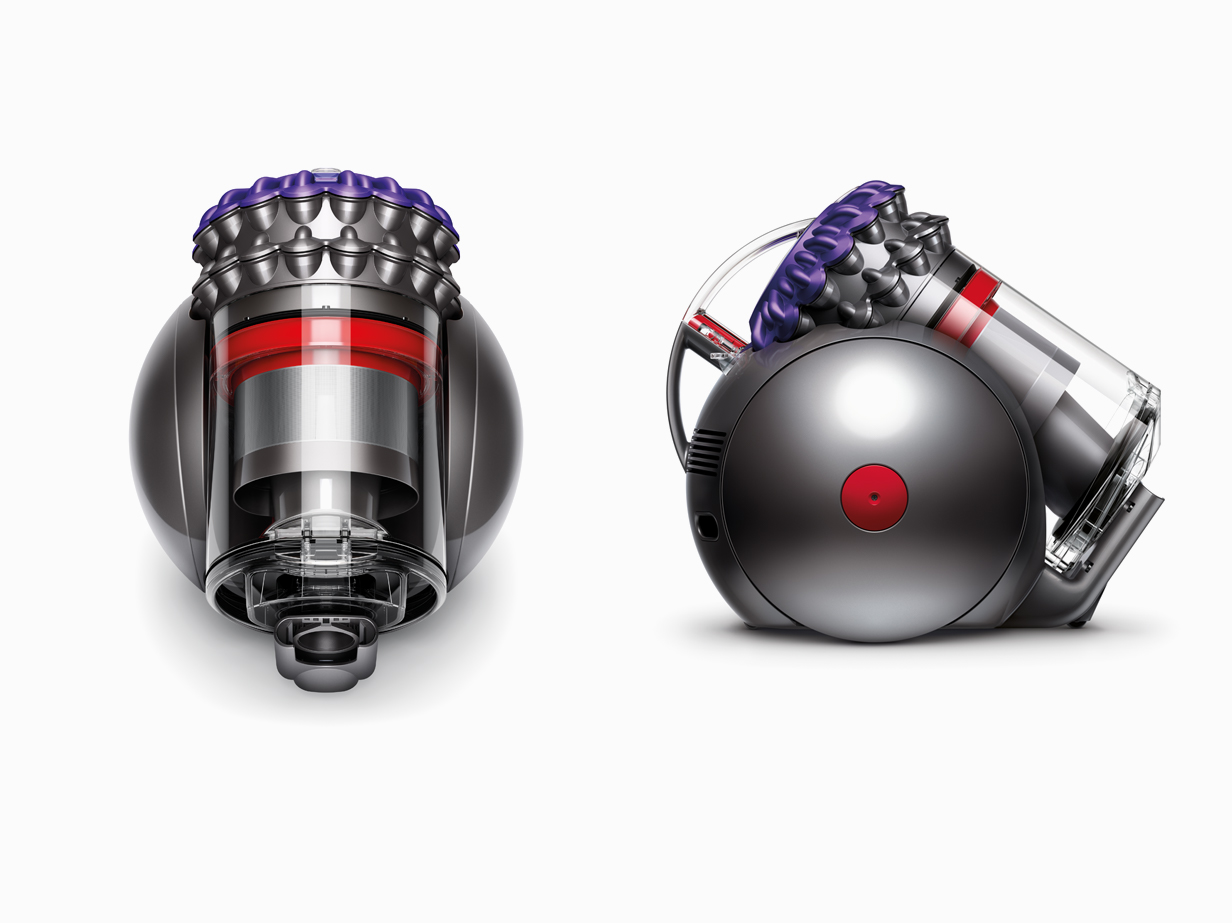 Dyson Big Ball Animal