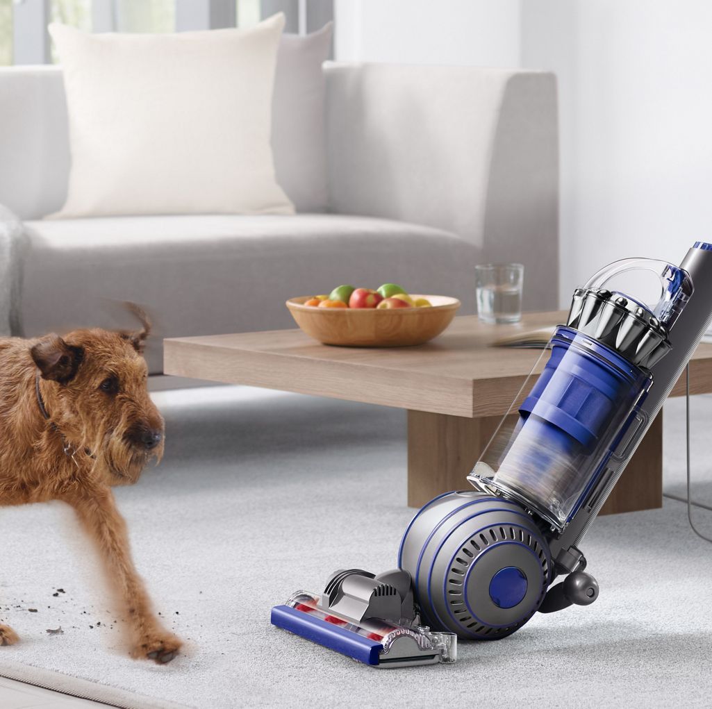 Dyson Ball Animal 2 Total Clean Pet Vacuum Cleaner Dyson