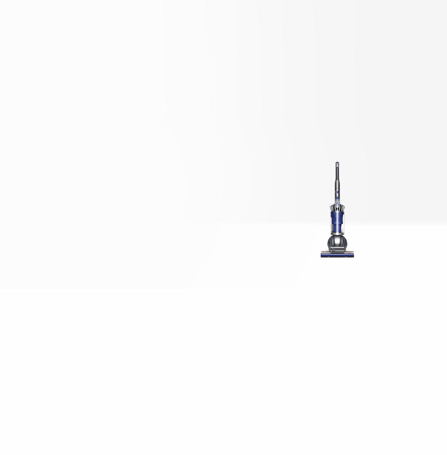 Asthma and Allergy Foundation of America logo Dyson Ball Animal 2 pet vacuum cleaner front and side view