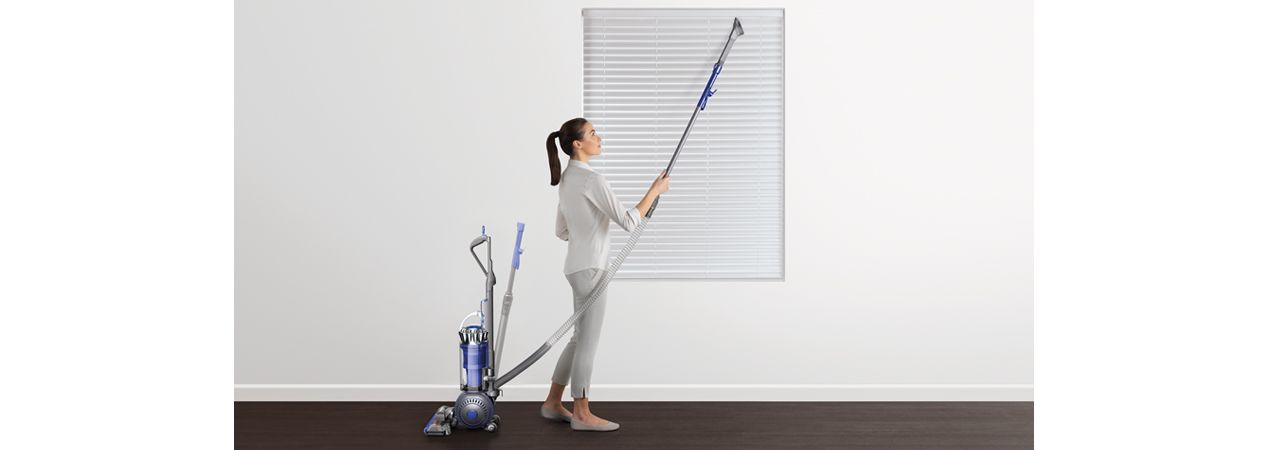 Dyson Ball Animal 2 instant release wand