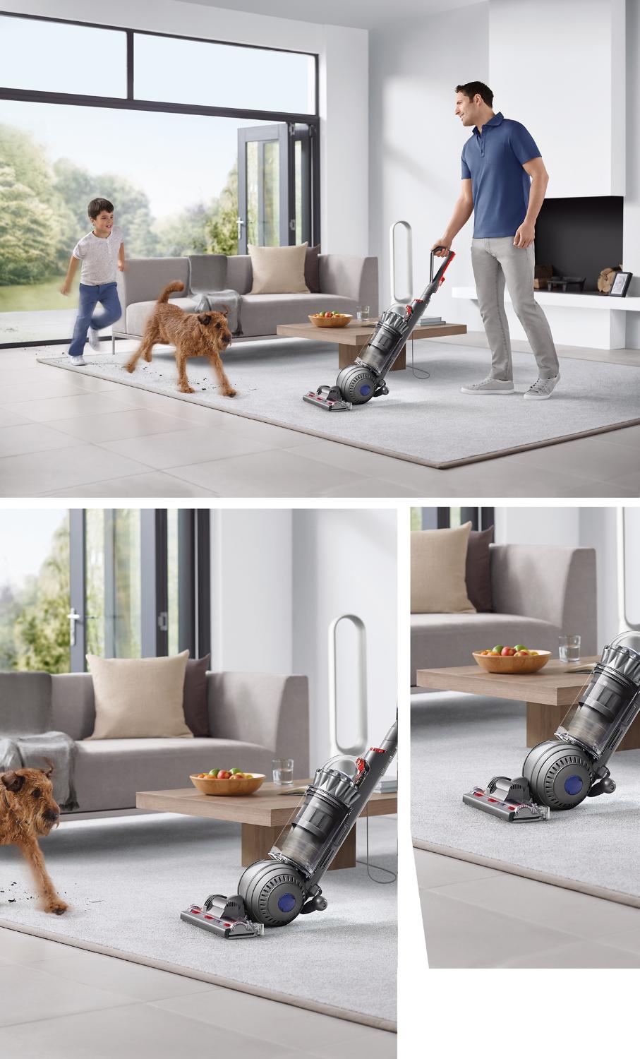 Dyson Ball Animal 2 pet vacuum cleaner