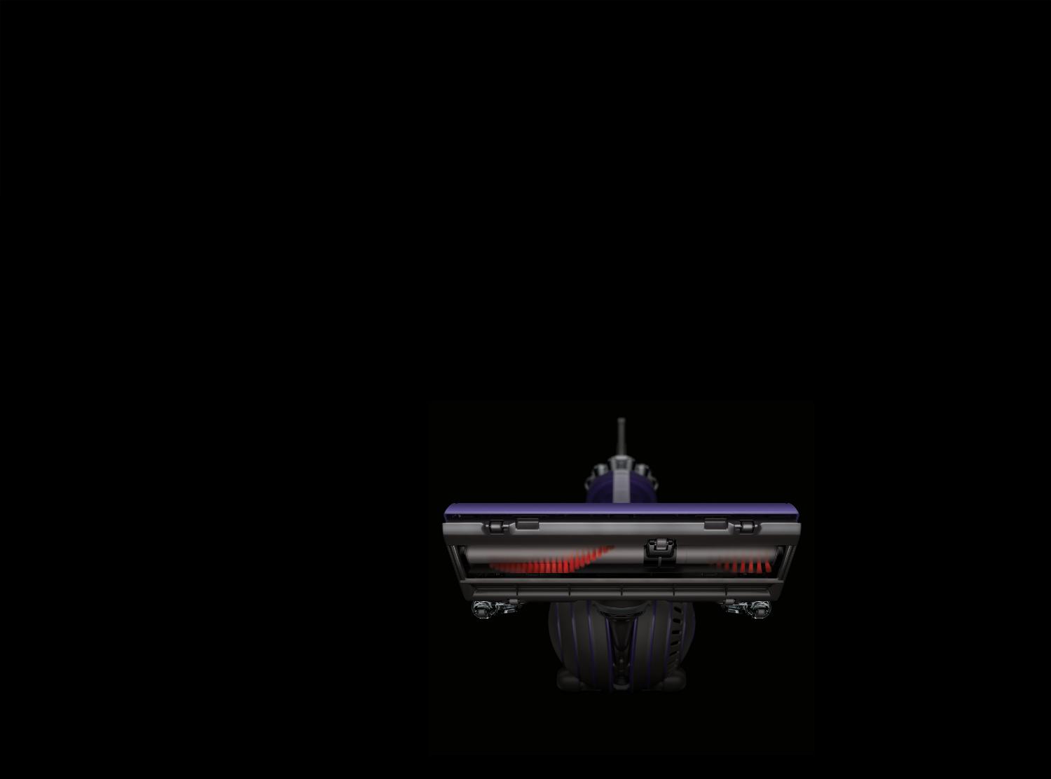 Placeholder Animal 2 head