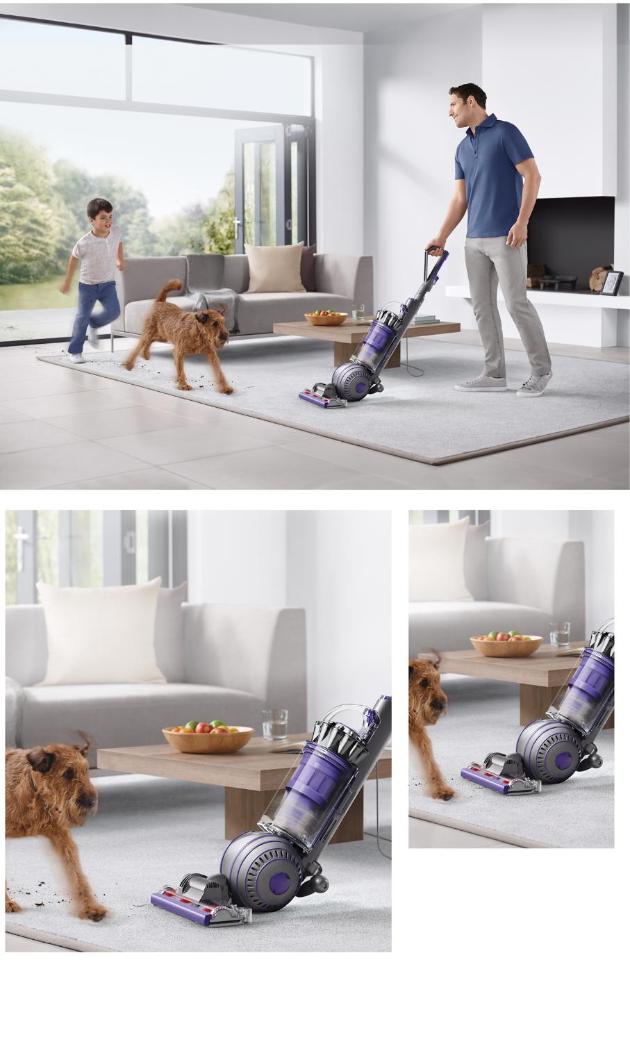 Dyson Ball Animal 2 pet vacuum cleaner