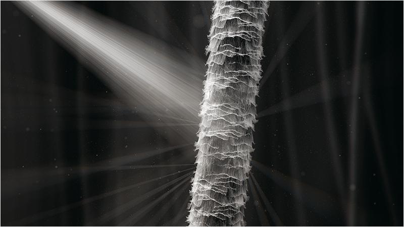 Light being scattered from damaged hair