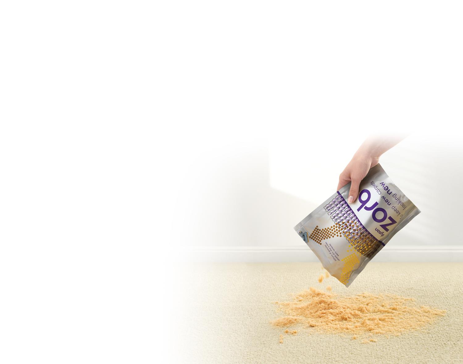 Work the dry power into your carpet.