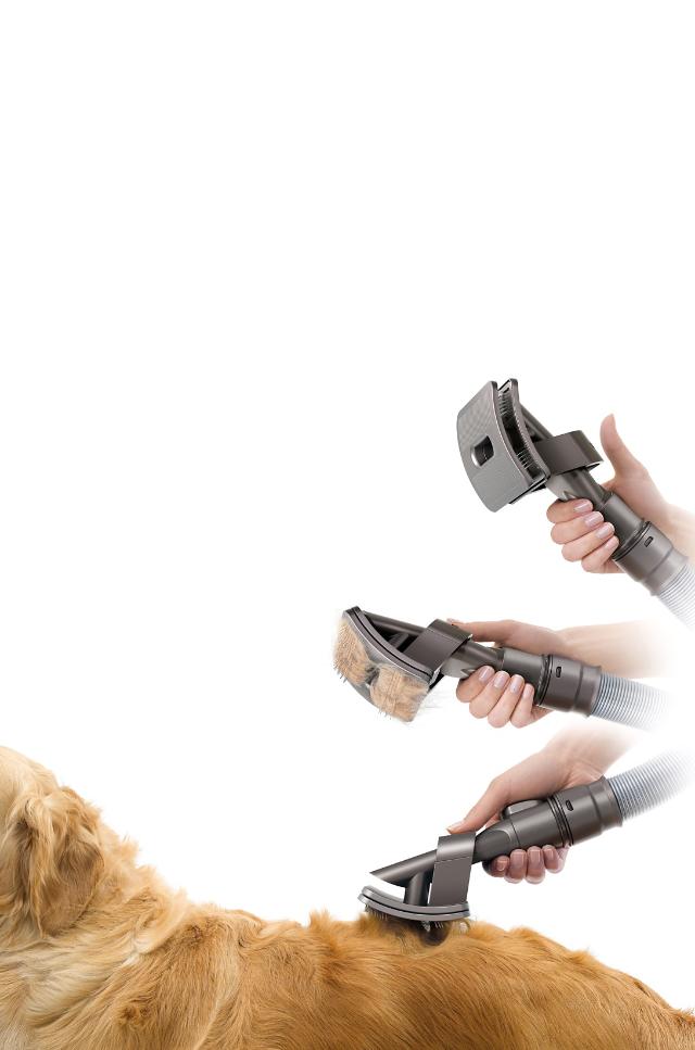 Dyson groom Dyson groom