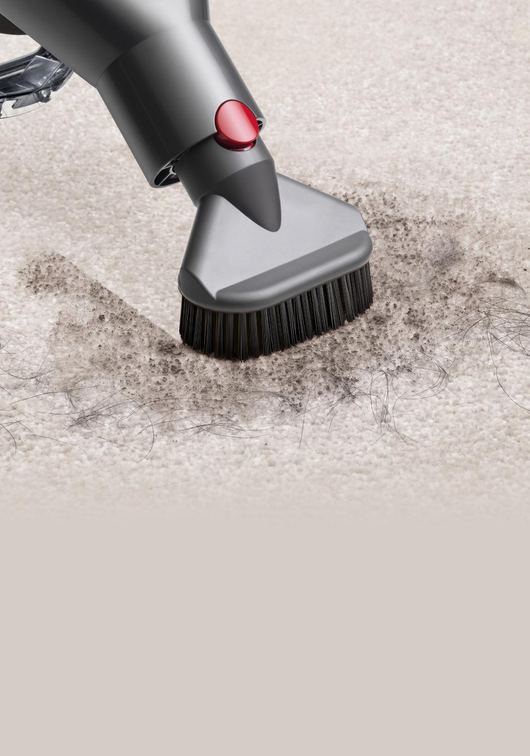 Brosse à soies dures à retrait rapide nettoyant des empreintes de pattes sur le tapis.