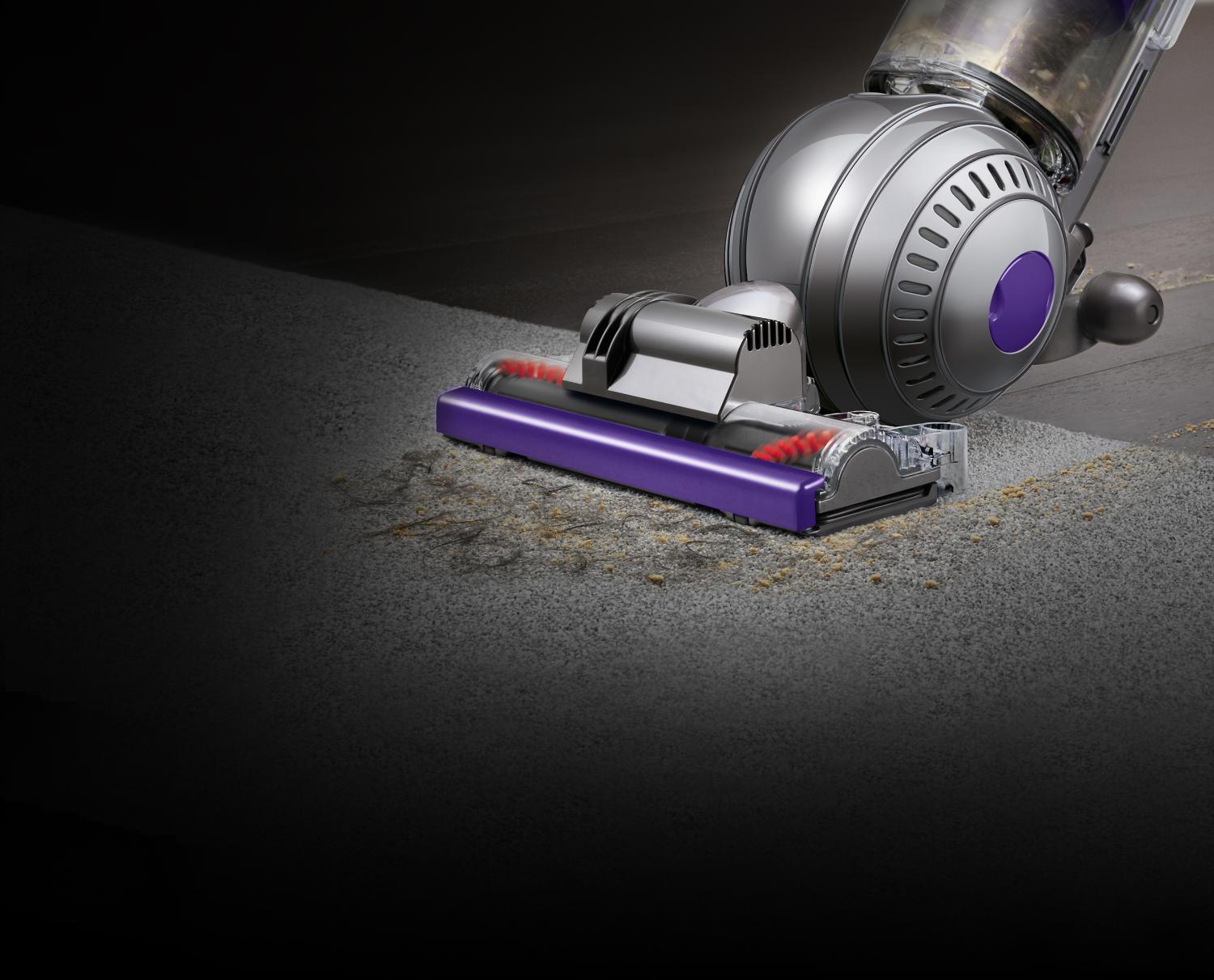 Ball Animal 2 vacuuming pet hair and dander on carpet