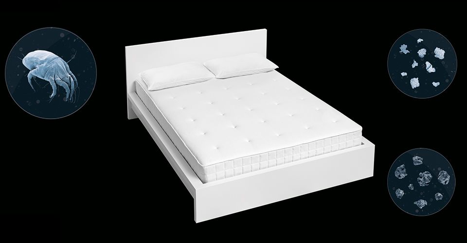 Beach wave style hair straightener