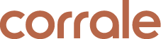 Dyson Corrale straightener logo