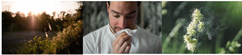allergy season