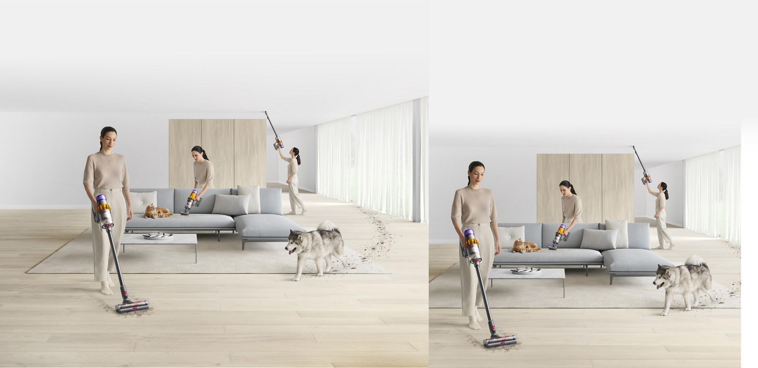 Aspirapolvere senza filo per le case con gli animali domestici | dyson.it