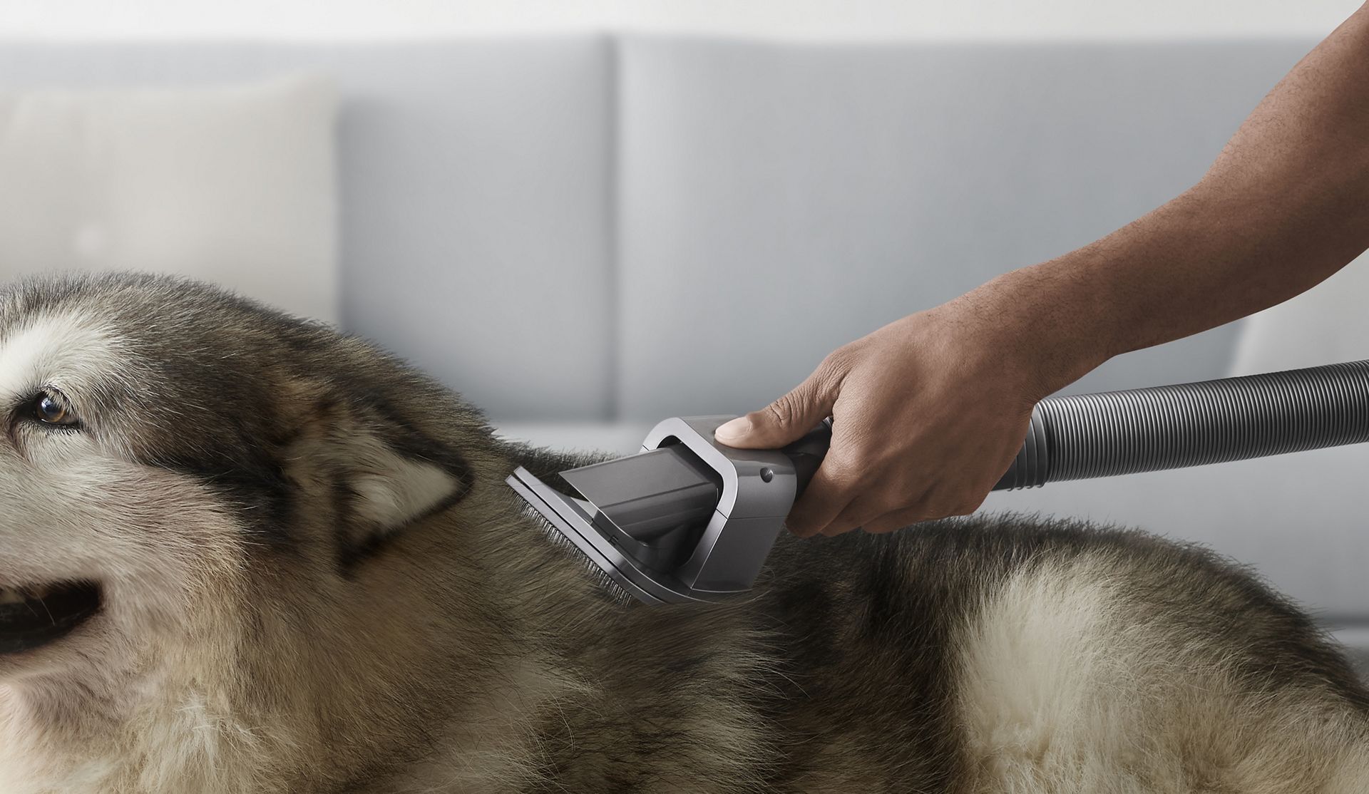 Stell av kjæledyr med Pet Groom-munnstykket