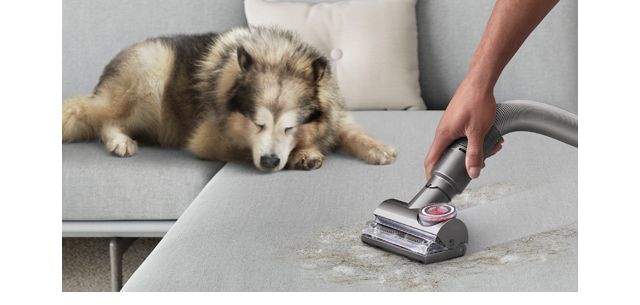 This popular Dyson vacuum is great for pet owners—and it's on sale