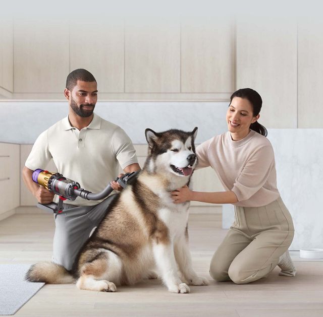 https://dyson-h.assetsadobe2.com/is/image/content/dam/dyson/campaigns/Pet-Science/pet-grooming-kit-landing-page_2.jpg?$responsive$&cropPathE=mobile&fit=stretch,1&fmt=pjpeg&wid=640