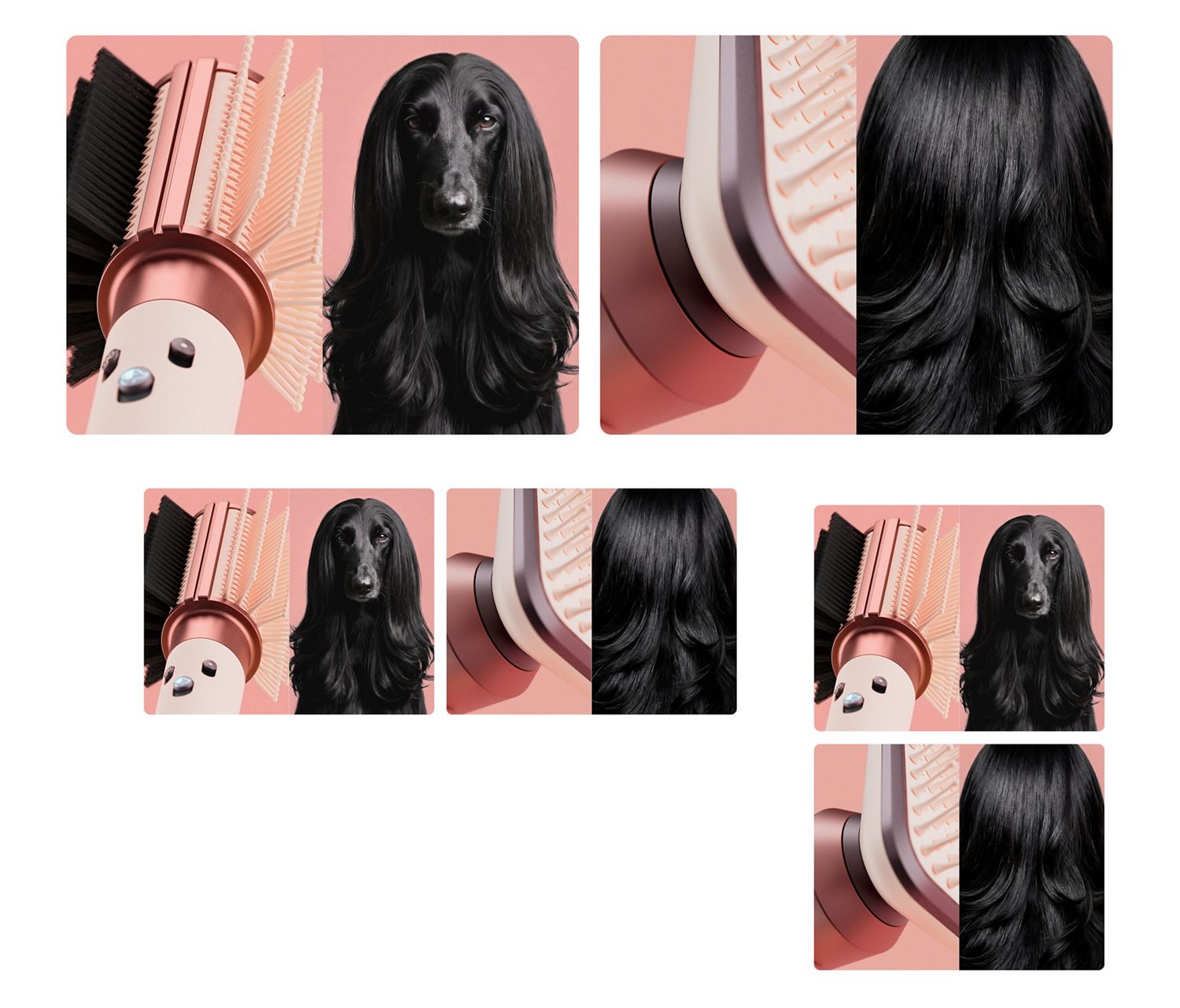 Dyson Airwrap Topcoat and Supersonic Dapper next to an adorable afghan hound with sleek black fur and voluminous curls.