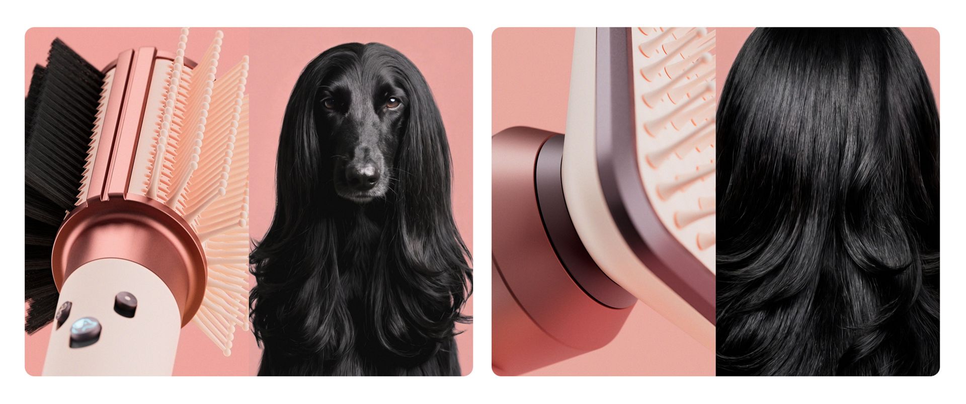Dyson Airwrap Topcoat and Supersonic Dapper next to an adorable afghan hound with sleek black fur and voluminous curls.