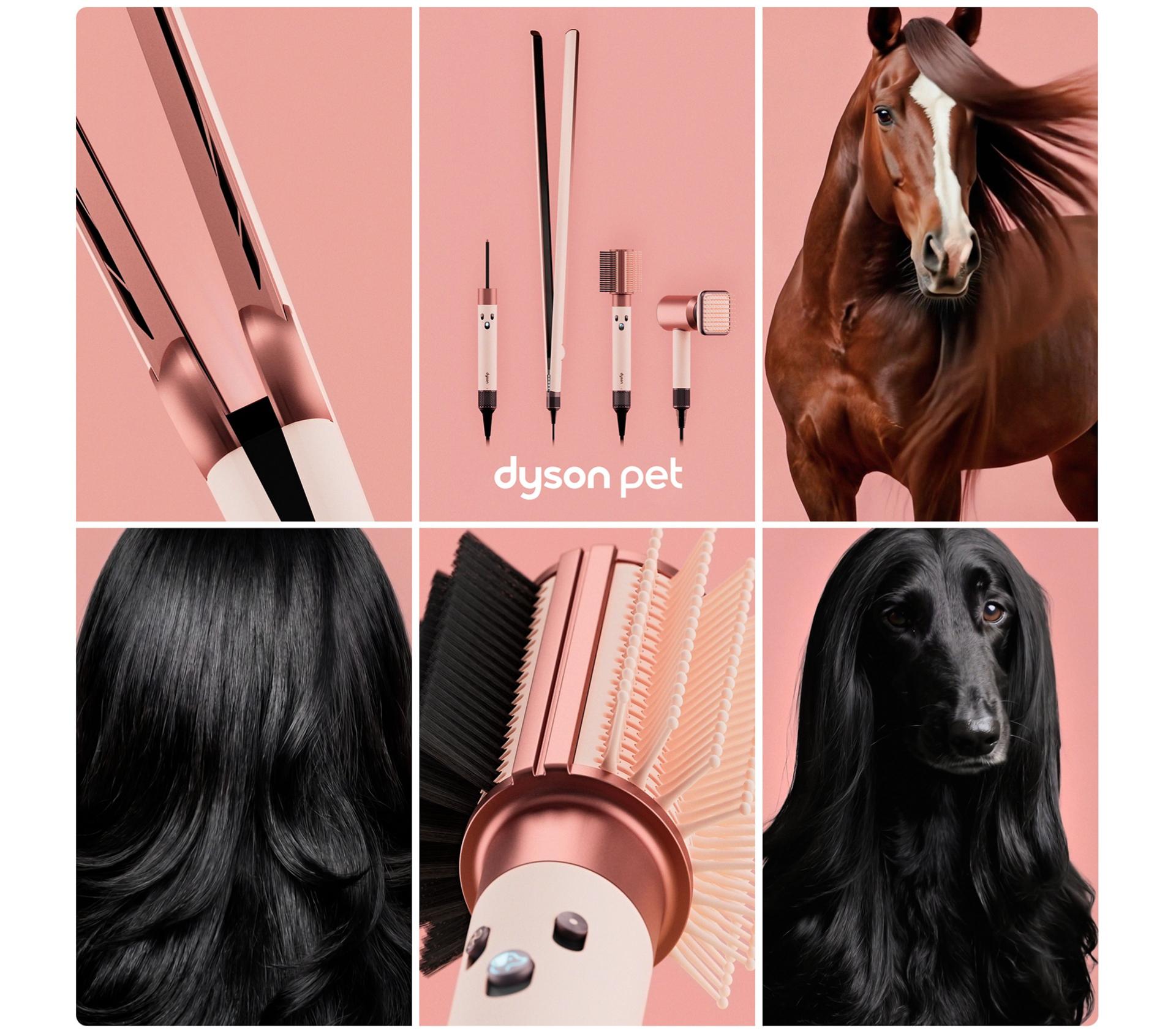 The Dyson Beauty Pet range next to pets with sleek, stylish fur.