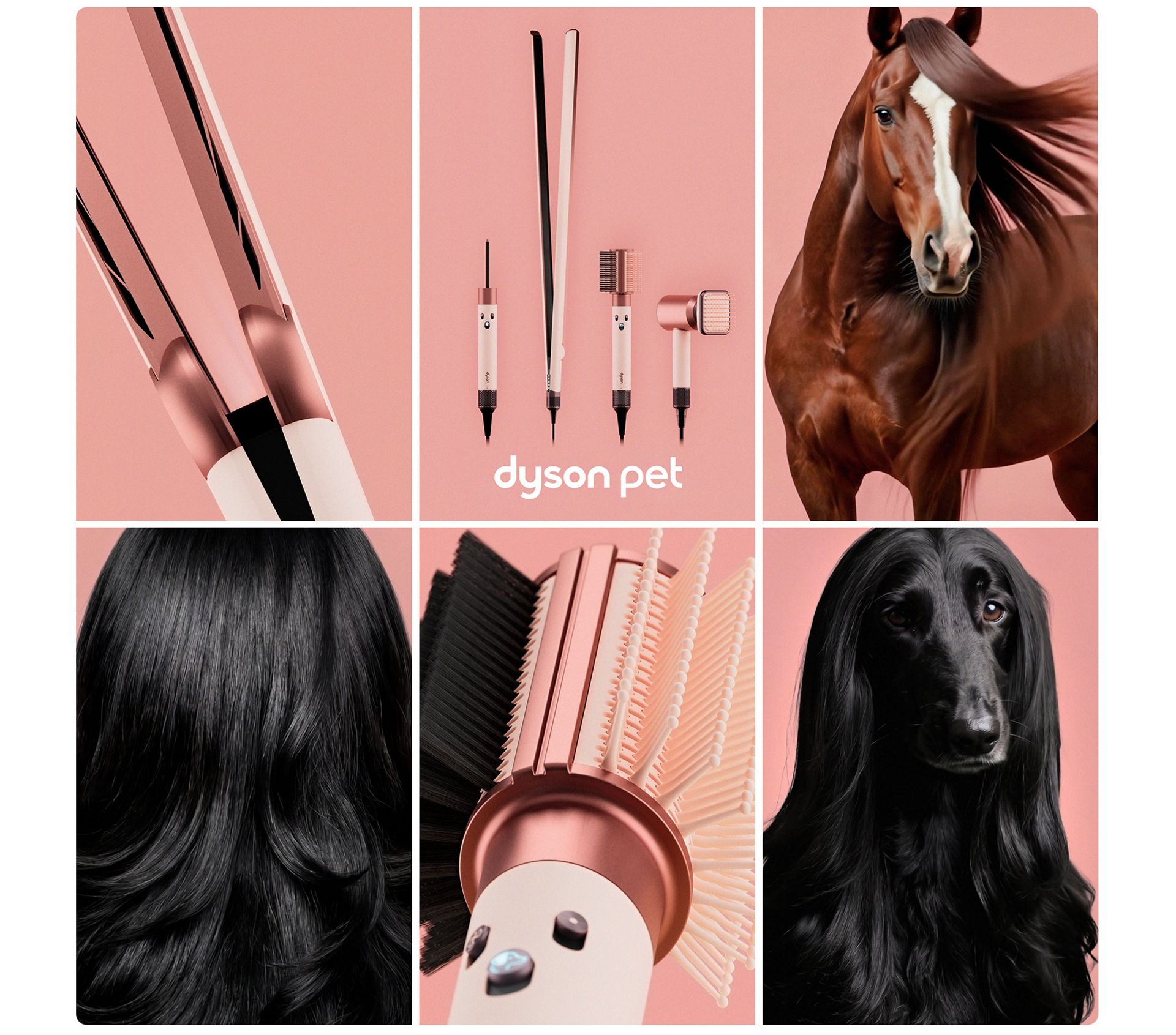 The Dyson Beauty Pet range next to pets with sleek, stylish fur.