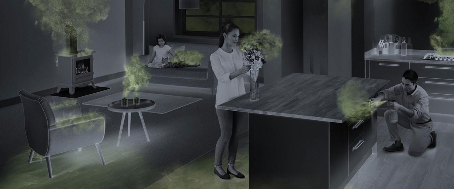  AIR QUALITY IN THE HOME