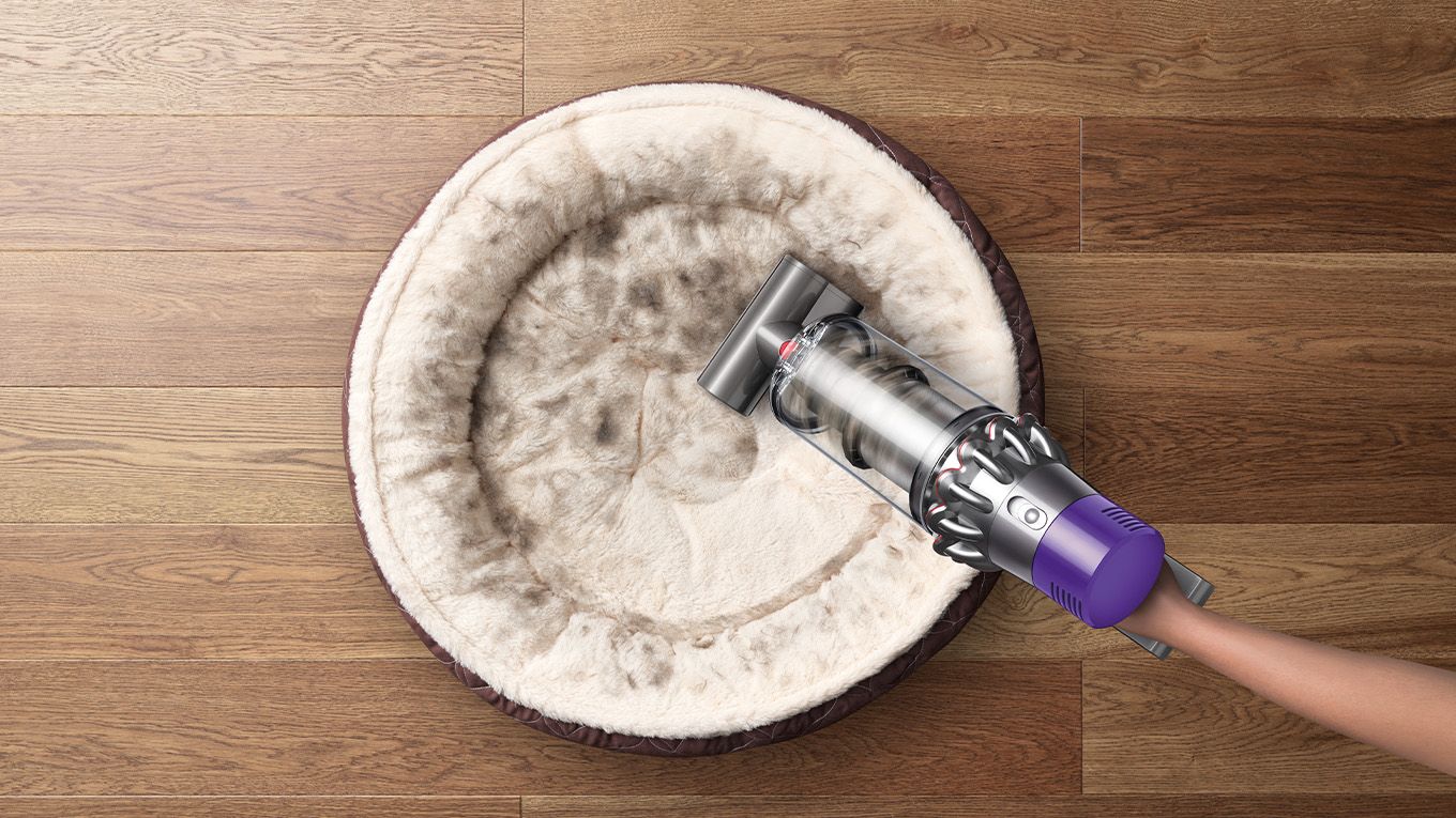 Dyson cordless vacuum used to remove pet hair from pet bed