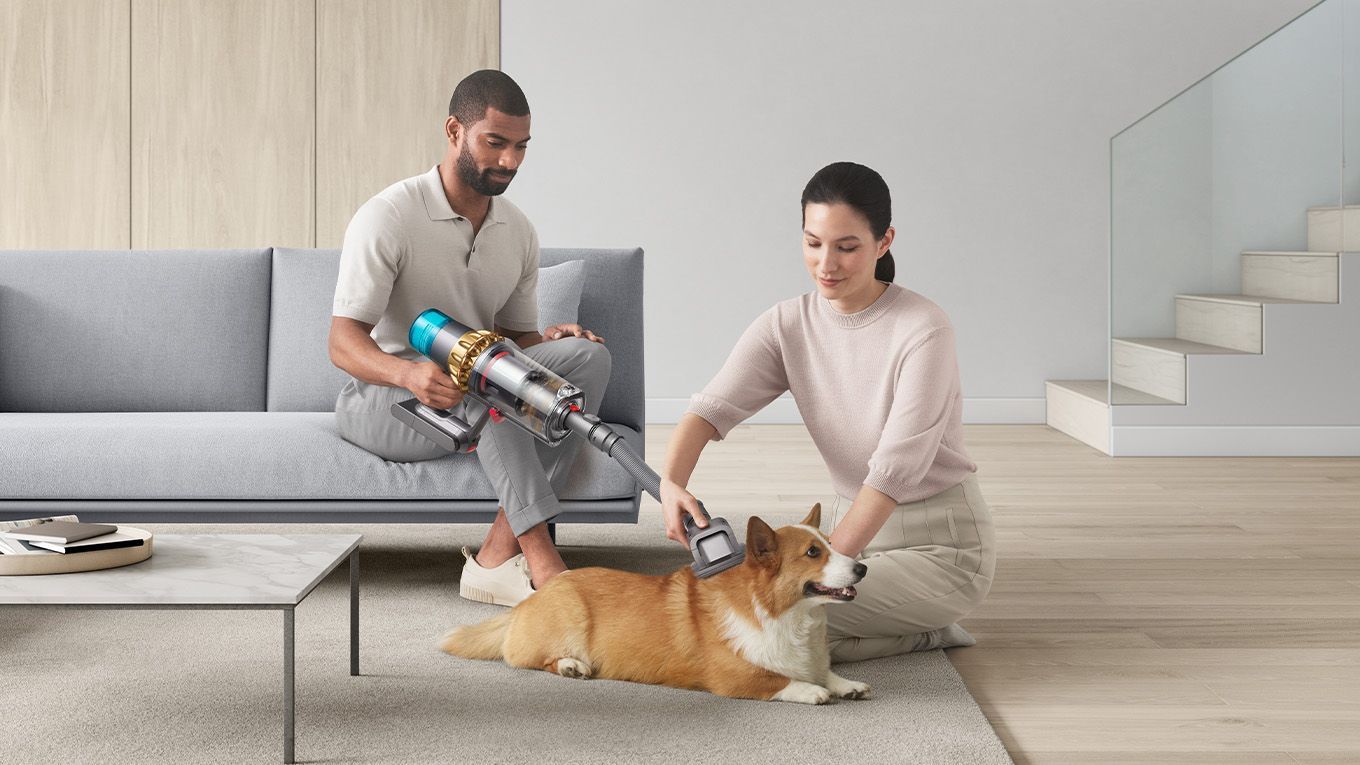 Couple using Dyson cordless vacuum to groom a Corgi dog