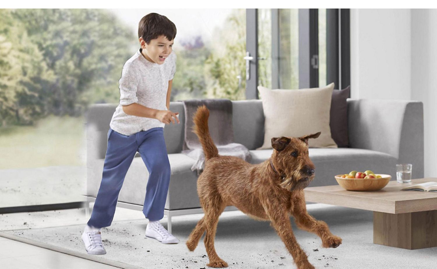 Dog running through living space