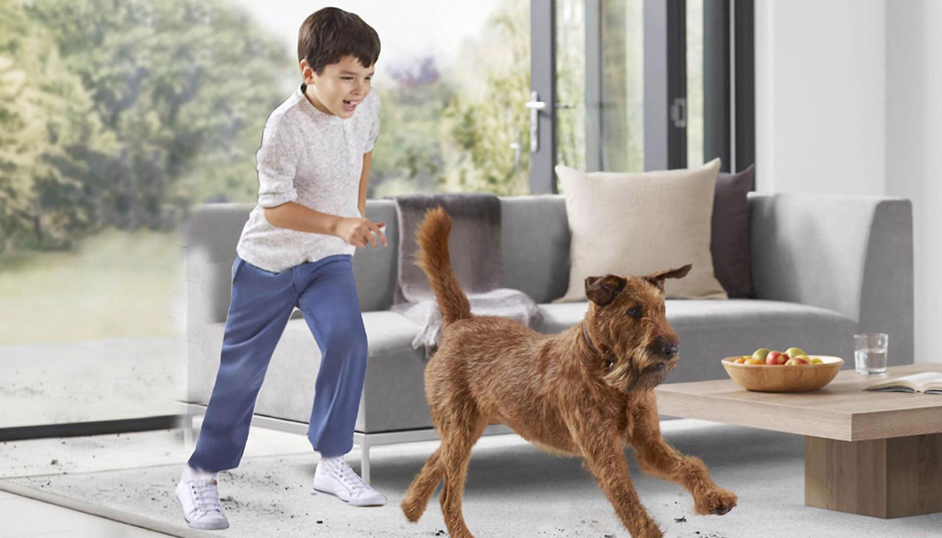 Cane che corre in salotto