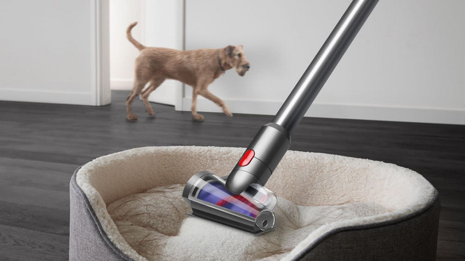 Hair screw tool cleaning pet hair off a pet bed