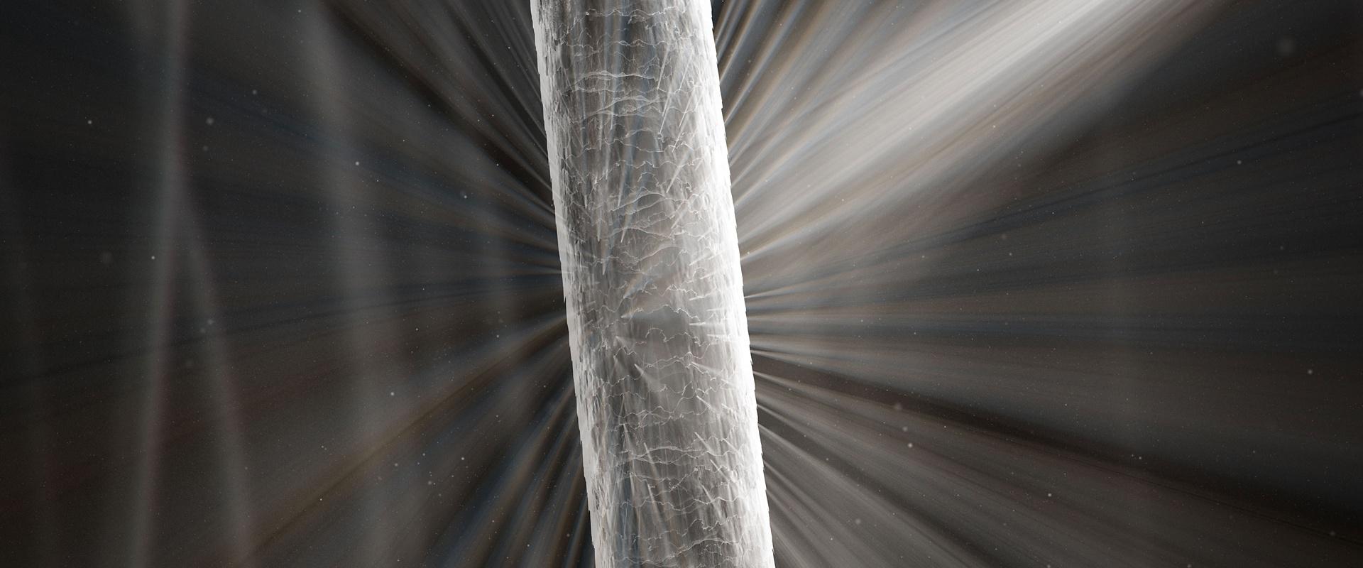 Zdrowa, zamknięta łuska włosa pod mikroskopem