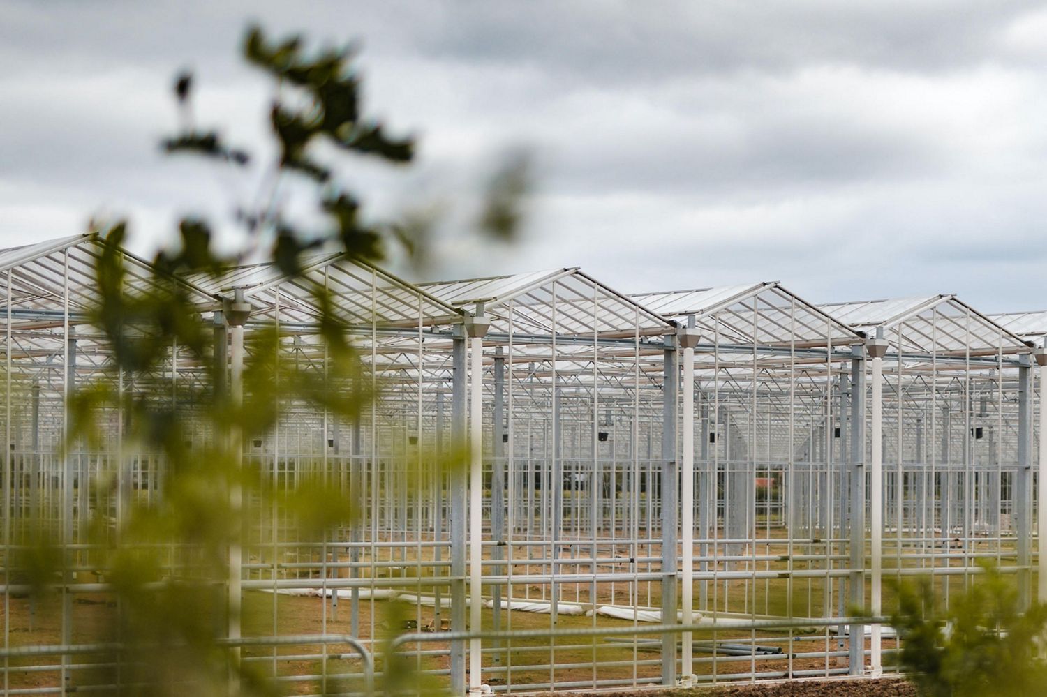 Dyson glasshouse Dyson glasshouse