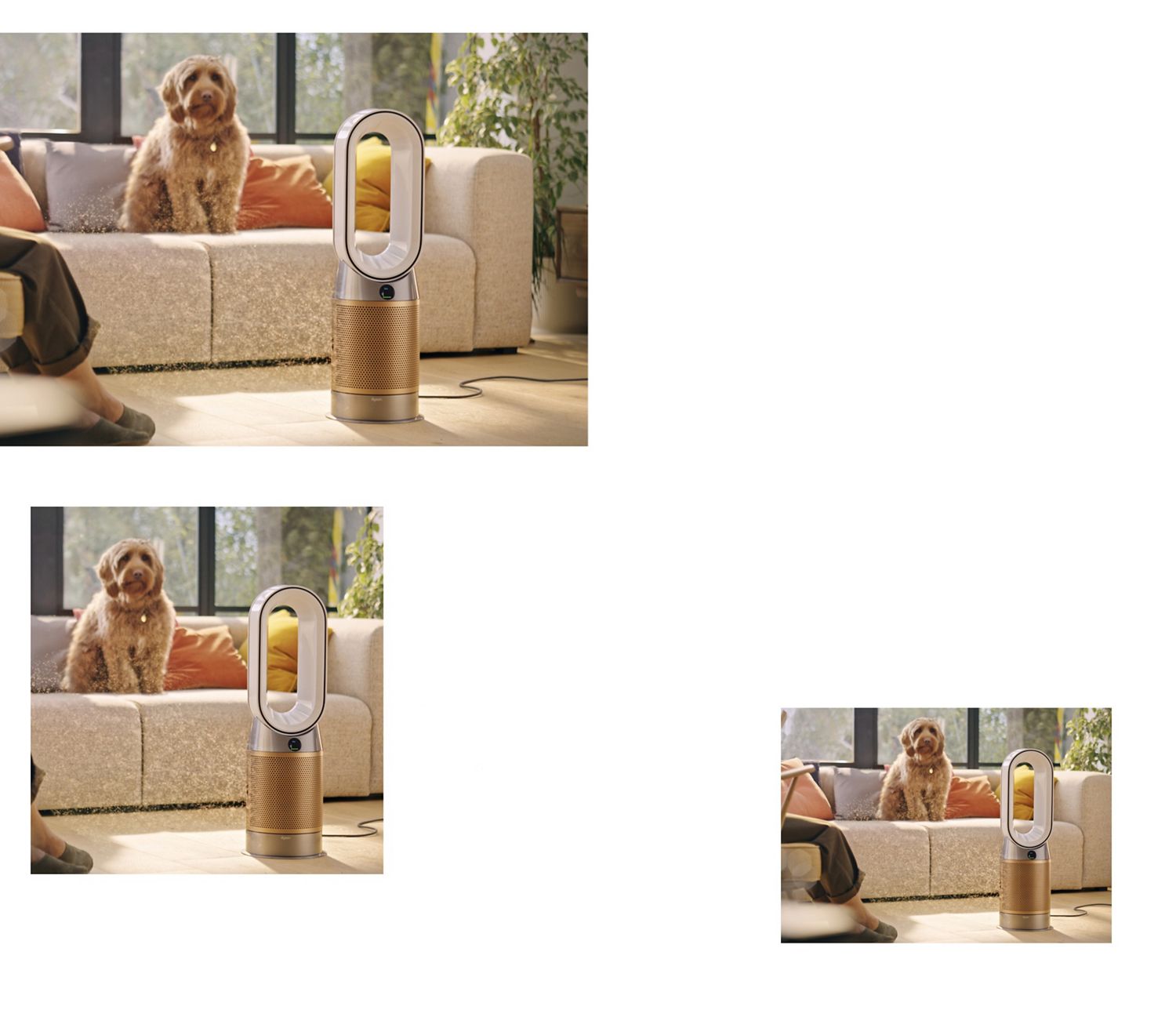 Een hond zit op een bank achter een Dyson-luchtreiniger. Een hond zit op een bank achter een Dyson-luchtreiniger.