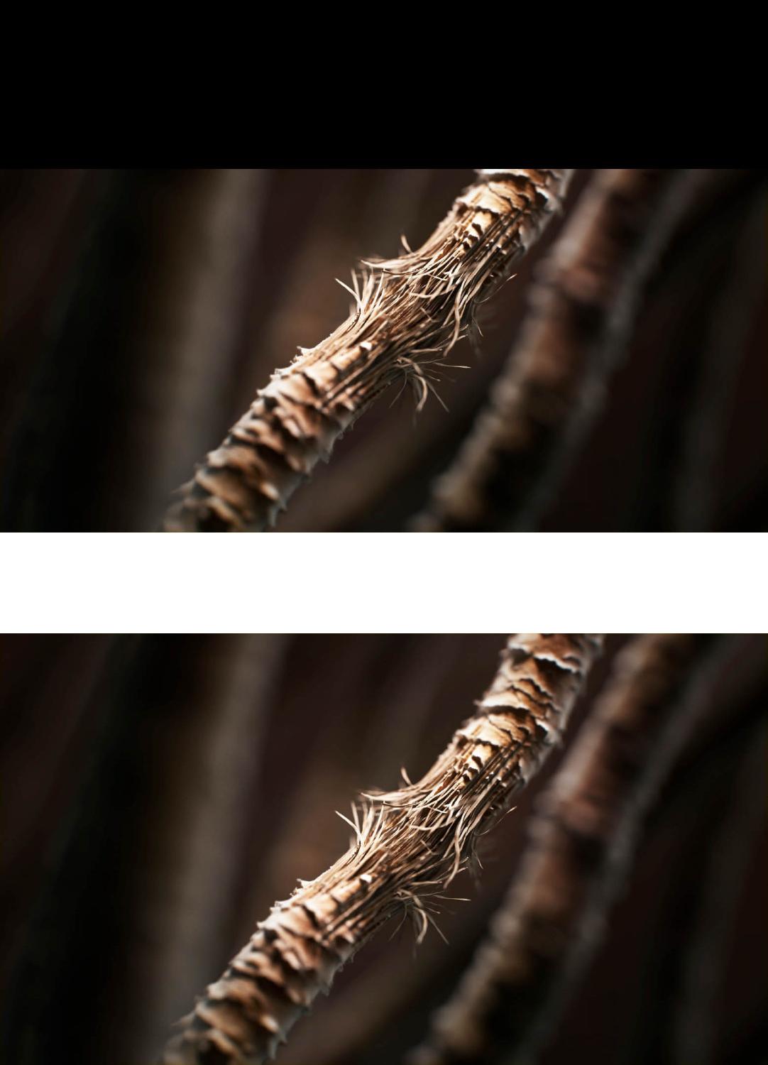 Hair strand under a microscope with signs of breakage
