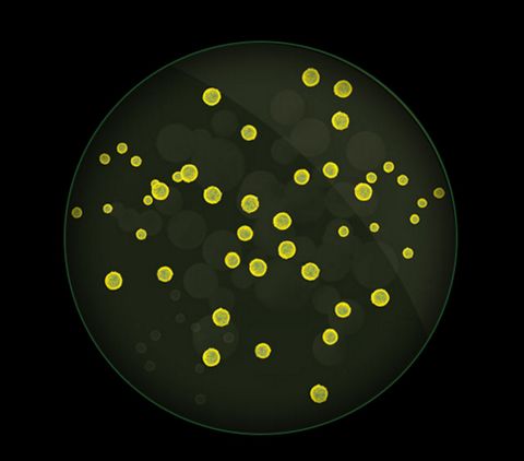 Close-up of microscopic particles