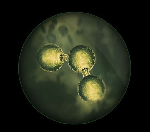 Close-up of microscopic particles
