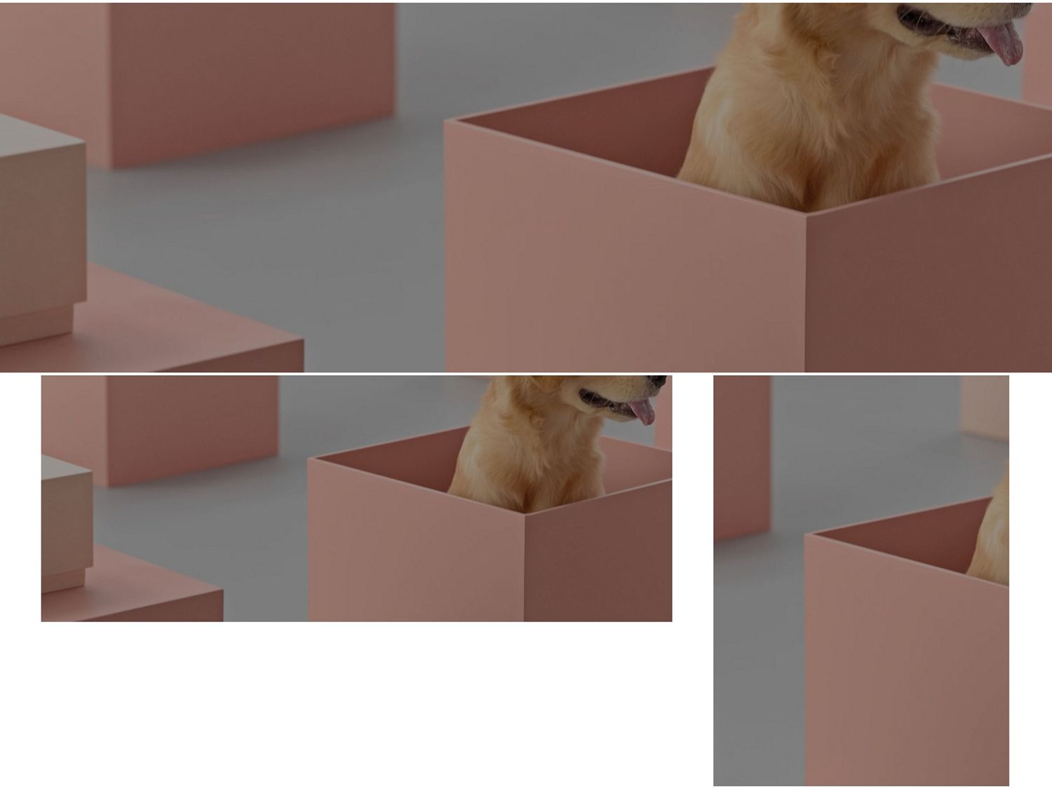 ダイソンのテクノロジーを贈ろう